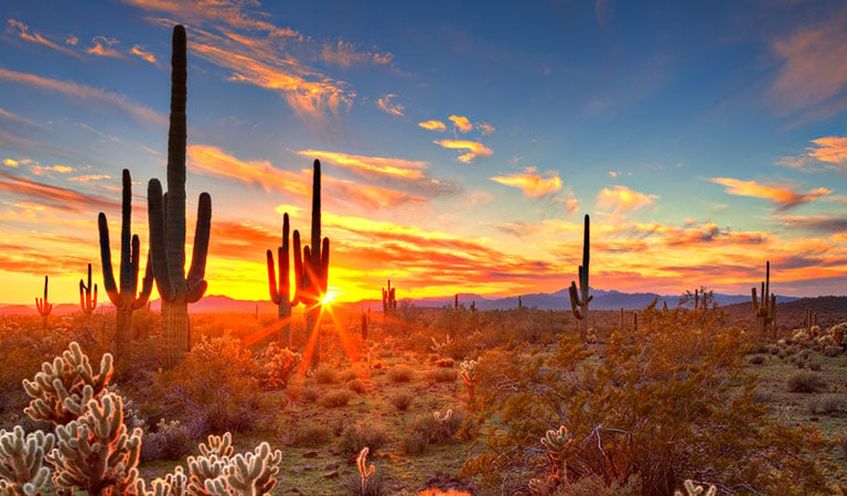 Best Hotels in Tucson, Catalina Foothills - Arizona Inn